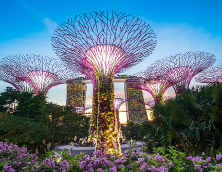 Sizzling Singapore